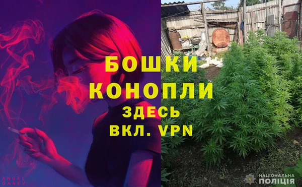 ПСИЛОЦИБИНОВЫЕ ГРИБЫ Армянск