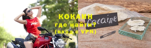 шишки Дмитров