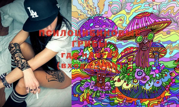 PSILOCYBIN Арсеньев