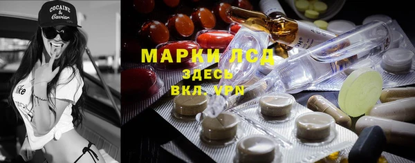 ПСИЛОЦИБИНОВЫЕ ГРИБЫ Армянск