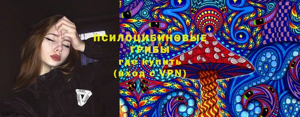 ПСИЛОЦИБИНОВЫЕ ГРИБЫ Армянск