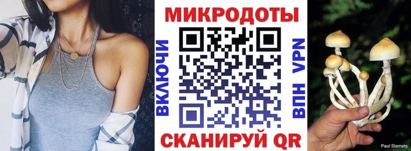 Галлюциногенные грибы мухоморы Калач-на-Дону